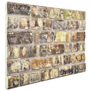 vidaXL Wandpanelen 10 pcs Multikleur 100 x 50 cm EPS-schuim