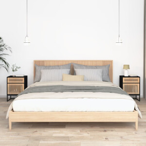 vidaXL Nachtkastjes 2 st 40x30x55,5 cm bewerkt hout en ijzer zwart