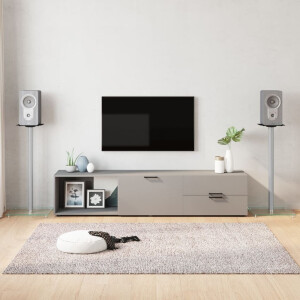 vidaXL Luidsprekerstandaards 2 st 1 pijler gehard glas zilverkleurig