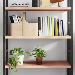 vidaXL Wandschap 100x60x(2-4) cm onbehandeld massief eikenhout