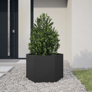 vidaXL Plantenbak zeshoek 69x60x45 cm staal zwart