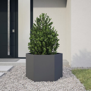 vidaXL Plantenbak zeshoek 69x60x45 cm staal antracietkleurig