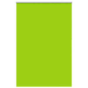 vidaXL Rolgordijn verduisterend 165x210 cm stofbreedte 161,6 cm