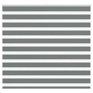 vidaXL Zebra rolgordijn 160x100 cm stofbreedte 155,9 cm donkergrijs