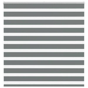 vidaXL Zebra rolgordijn 150x150 cm stofbreedte 145,9 cm donkergrijs