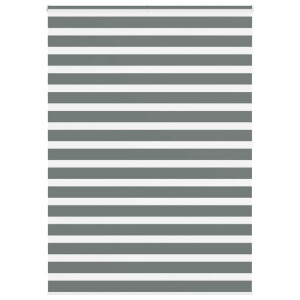 vidaXL Zebra rolgordijn 165x200 cm stofbreedte 160,9 cm donkergrijs