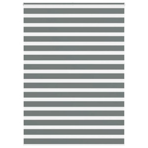 vidaXL Zebra rolgordijn 160x230 cm stofbreedte 155,9 cm donkergrijs