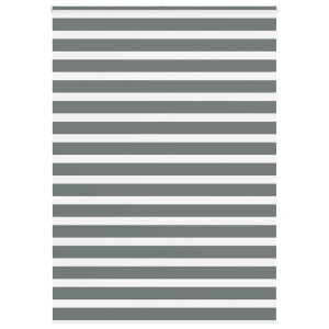 vidaXL Zebra rolgordijn 165x230 cm stofbreedte 160,9 cm donkergrijs
