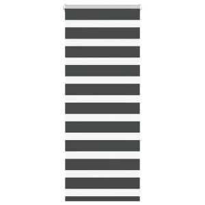 vidaXL Zebra rolgordijn 65x100 cm stofbreedte 60,9 cm zwart