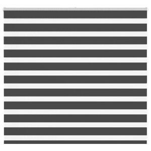 vidaXL Zebra rolgordijn 160x100 cm stofbreedte 155,9 cm zwart