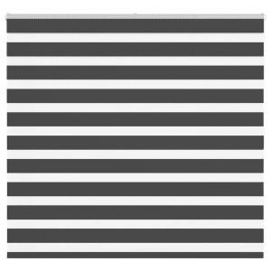 vidaXL Zebra rolgordijn 165x100 cm stofbreedte 160,9 cm zwart
