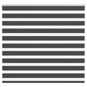 vidaXL Zebra rolgordijn 165x150 cm stofbreedte 160,9 cm zwart