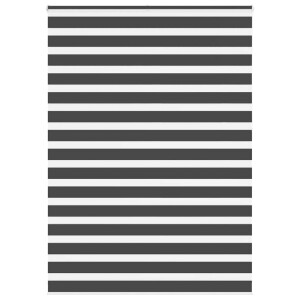 vidaXL Zebra rolgordijn 160x230 cm stofbreedte 155,9 cm zwart