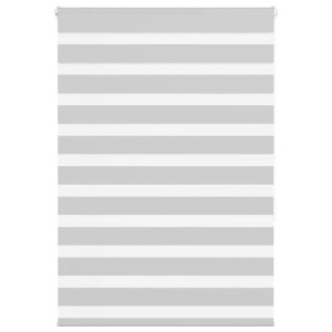 vidaXL Zebra rolgordijn 100x150 cm stofbreedte 95,9 cm lichtgrijs