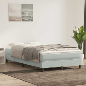 vidaXL Boxspring zonder matras fluweel lichtgrijs 120x220 cm