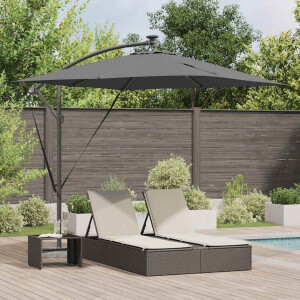 vidaXL Parasol Antraciet 249 x 249 x 250 cm Polyester en Aluminium