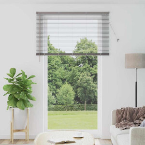 vidaXL Venetiaanse Jaloezieën Zilver 220 x 135 cm Aluminium