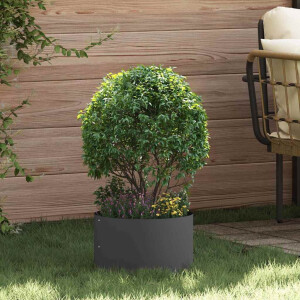 vidaXL Plantenring Zwart 30 x 30 x 20 cm Koudgewalst staal