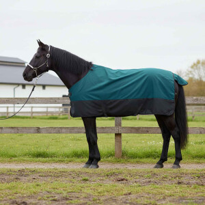 vidaXL Paardendeken Donkergroen en Zwart 95 cm Polyester