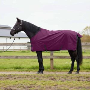 vidaXL Paardendeken Donkergroen en Zwart 155 cm Polyester