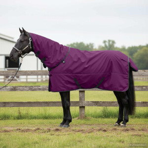vidaXL Paardendeken Donkergroen en Zwart 105 cm Polyester