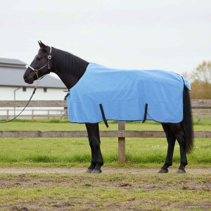 vidaXL Paardendeken Volledige Aqua 165 cm Polyester
