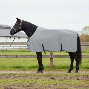 vidaXL Paardendeken Volledig Lichtgrijs en Roze 145 cm Polyester
