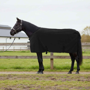 vidaXL Paardendeken Zwart 95 cm Polyester