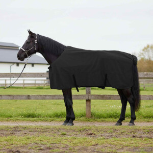vidaXL Paardendeken Zwart 165 cm Polyester