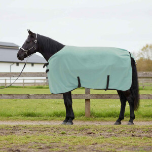 vidaXL Paardendeken Speciale Groen 75 cm Polyester