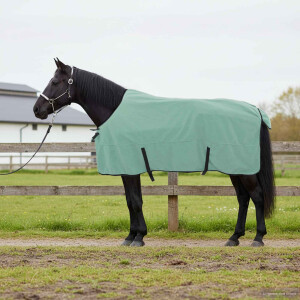 vidaXL Paardendeken Speciale Groen 145 cm Polyester