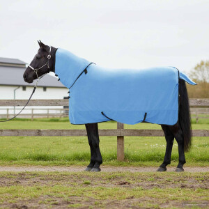 vidaXL Paardendeken Volledige Aqua 145 cm Polyester