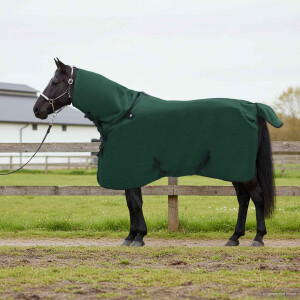 vidaXL Paardendeken Volledig Donkergroen 75 cm Polyester