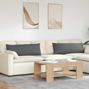 vidaXL Sofa Kussens 2 pcs Donkergrijs 120 x 40 cm Stof