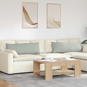 vidaXL Sofa Kussens 2 pcs Lichtgrijs 120 x 40 cm Katoen Stof