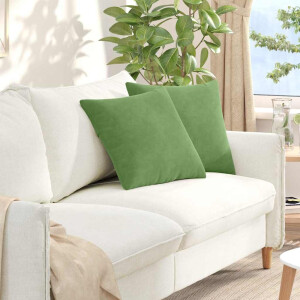 vidaXL Sofa Kussens 2 stuks Lichtgroen 45 x 45 cm Cordstof