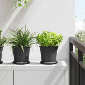 vidaXL Ronde Bloemenschalen 6 pcs Zwart Ø 15,5 x 2 cm Kunststof