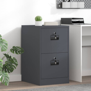 vidaXL Bestandenkast Antraciet 44 x 50 x 74,5 cm Koudgewalst Staal