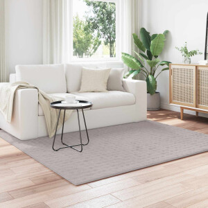 vidaXL Vloerkleden Vierkant SIROLO Zand 200 x 200 cm Polyester