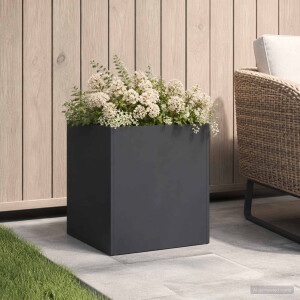 vidaXL Plantenbak Zwart 25 x 25 x 25 cm Koudgewalst staal