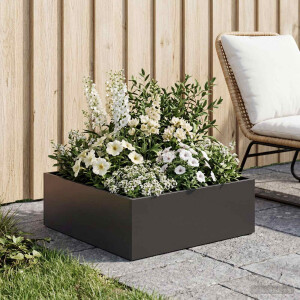 vidaXL Plantenbak Zwart 40 x 40 x 20 cm Koudgewalst staal