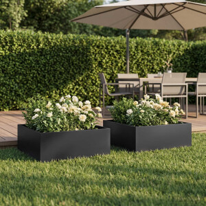 vidaXL Plantenbak 2 st Zwart 40 x 40 x 20 cm Koudgewalst staal