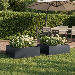 vidaXL Plantenbak 2 st Antraciet 60 x 60 x 20 cm Koudgewalst staal