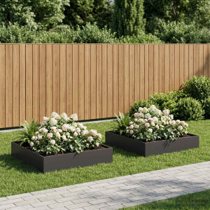 vidaXL Plantenbak 2 st Zwart 100 x 100 x 20 cm Koudgewalst staal