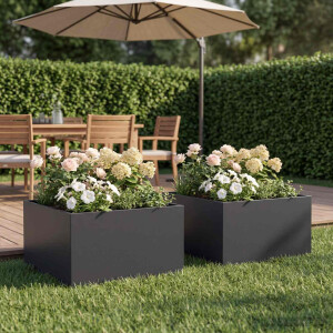 vidaXL Plantenbak 2 st Zwart 60 x 60 x 30 cm Koudgewalst staal