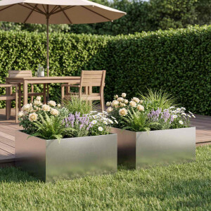 vidaXL Plantenbak 2 st zilver 60 x 60 x 30 cm Roestvrij staal