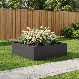 vidaXL Plantenbak Zwart 80 x 80 x 30 cm Koudgewalst staal