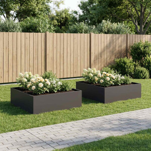 vidaXL Plantenbak 2 st Zwart 80 x 80 x 30 cm Koudgewalst staal