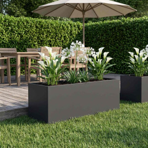 vidaXL Plantenbak Zwart 40 x 20 x 20 cm Koudgewalst staal