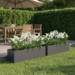 vidaXL Plantenbak 2 st Antraciet 80 x 20 x 20 cm Koudgewalst staal